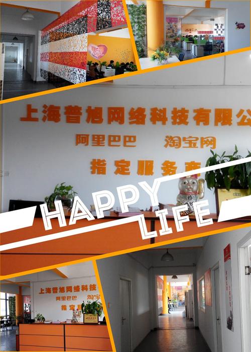 上海普旭网络科技